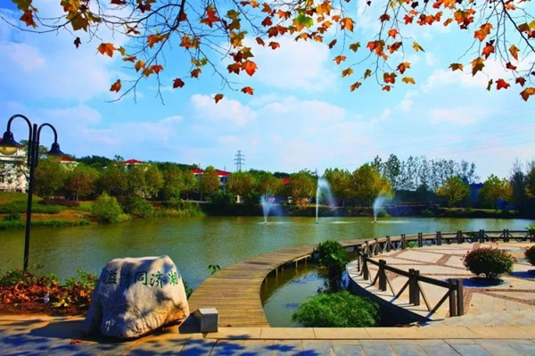 1559184507138395.jpg 01.webp_副本.jpg