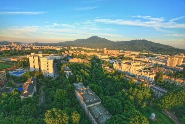 1559787818108792.jpg 22.jpg