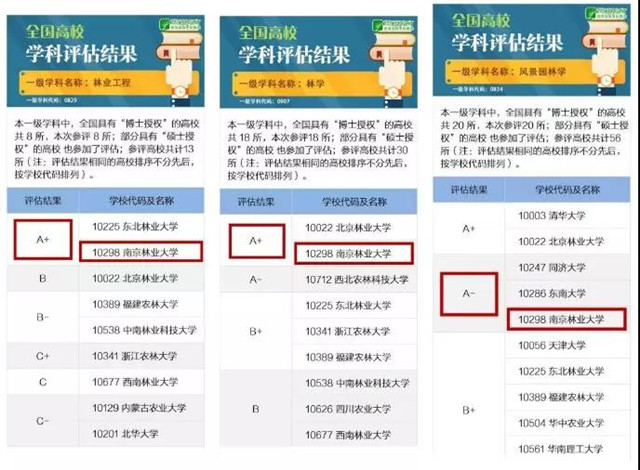 1559787984432502.jpg 23_副本.jpg