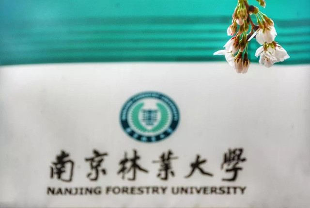 1559788044130492.jpg 27_副本.jpg