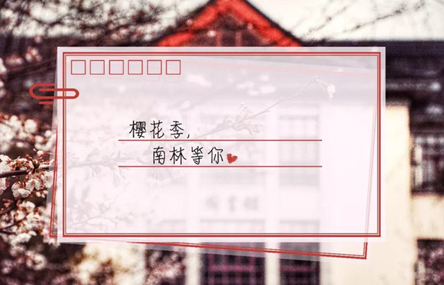 1559788056429728.jpg 28_副本.jpg