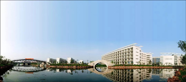 1561510871143582.jpg 90.webp_副本.jpg