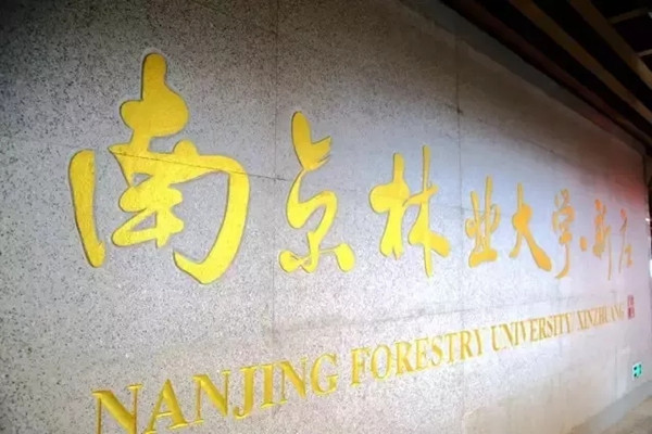 1561516563108950.jpg 32.webp_副本.jpg