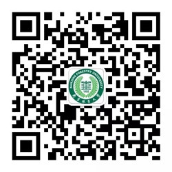 1561516595483126.jpg 33.webp_副本.jpg