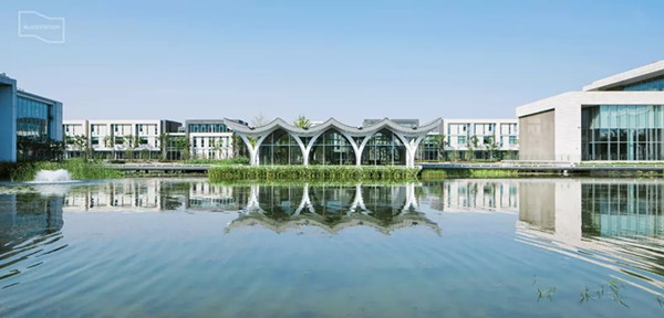 1572490040129967.jpg 09.webp_副本.jpg