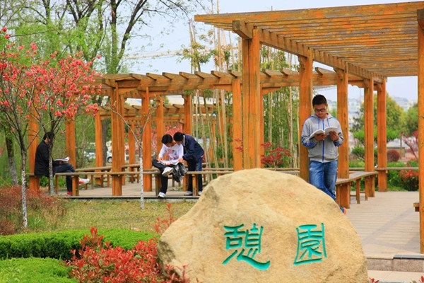 640.webp (3)_副本.jpg