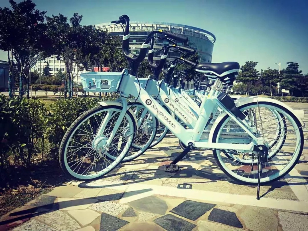 1583291873269243.jpg 88.webp.jpg