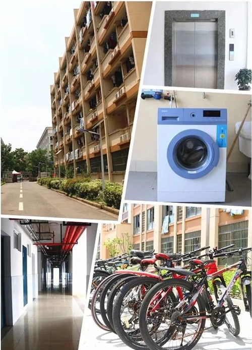 640.webp (7)_副本.jpg