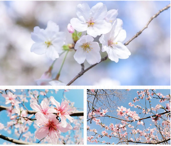 1596502906568326.png 海院3.png