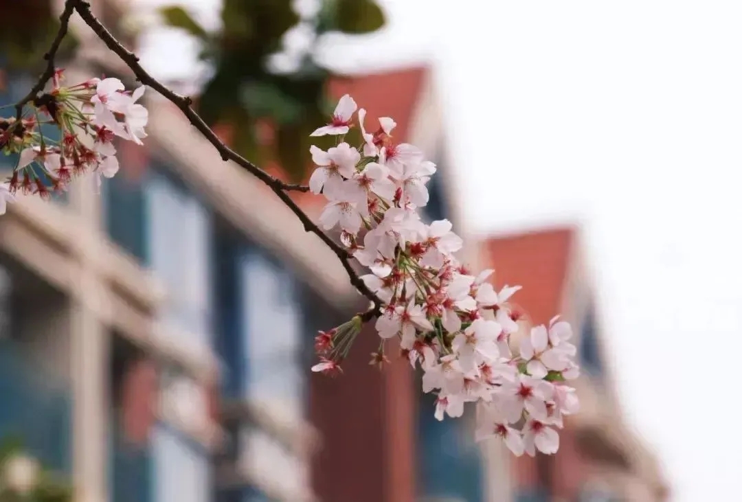 640 (1).webp (6).jpg