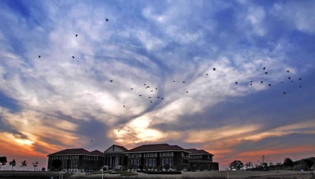 640 (1).webp (3).jpg