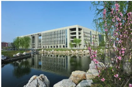 1624517346982492.jpg 2.jpg