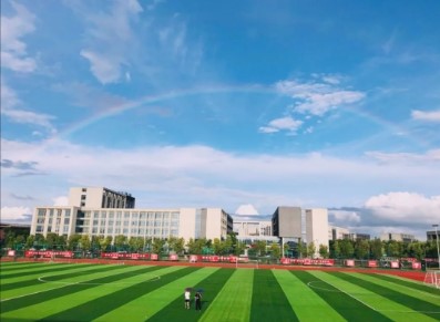 1624517351135220.jpg 3.jpg