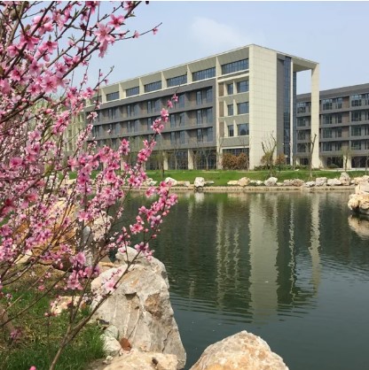 1624517359140157.jpg 4.jpg