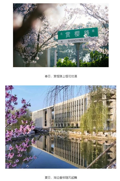 1624517521914854.jpg 111.jpg