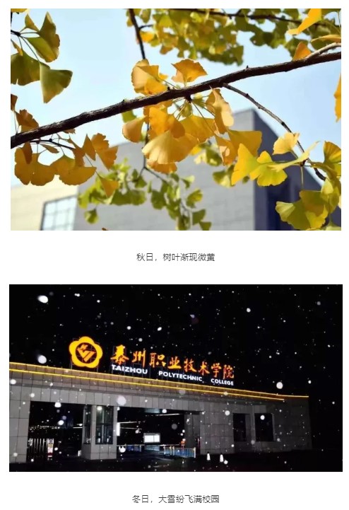 1624517526136152.jpg 222.jpg