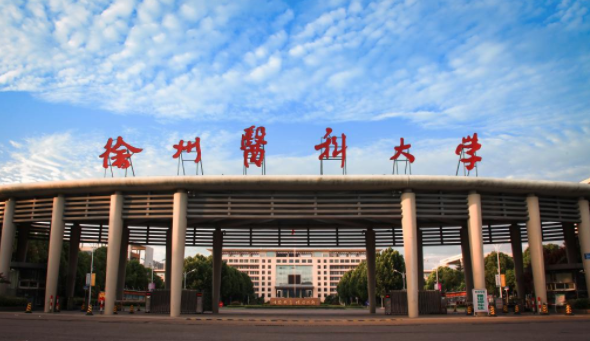 1625106257103210.png image.png