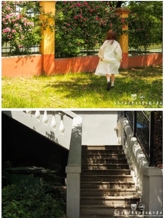 1625130965127671.jpg 12.jpg