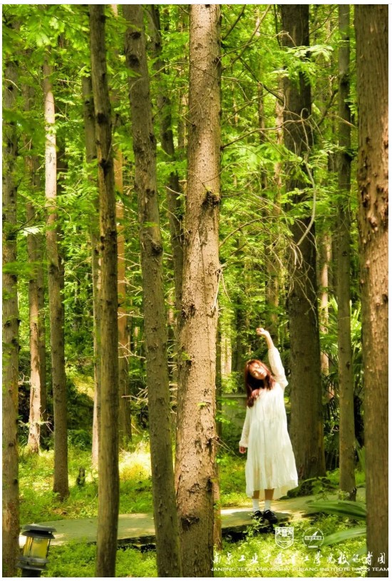 1625130983617429.jpg 13.jpg