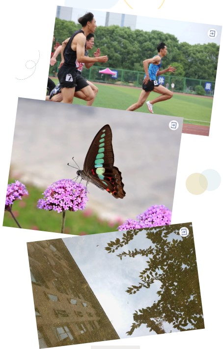 1628491204871959.jpg 4.jpg