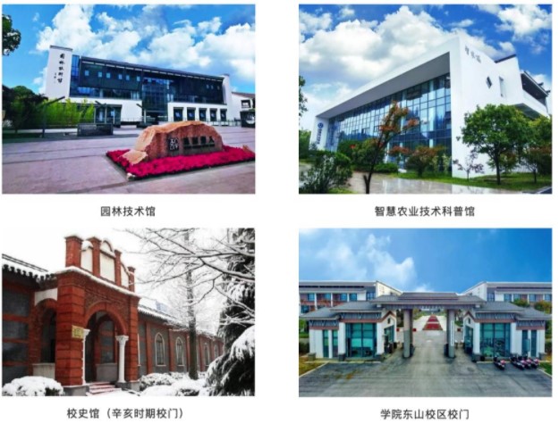 1644479788225821.jpg 11.jpg