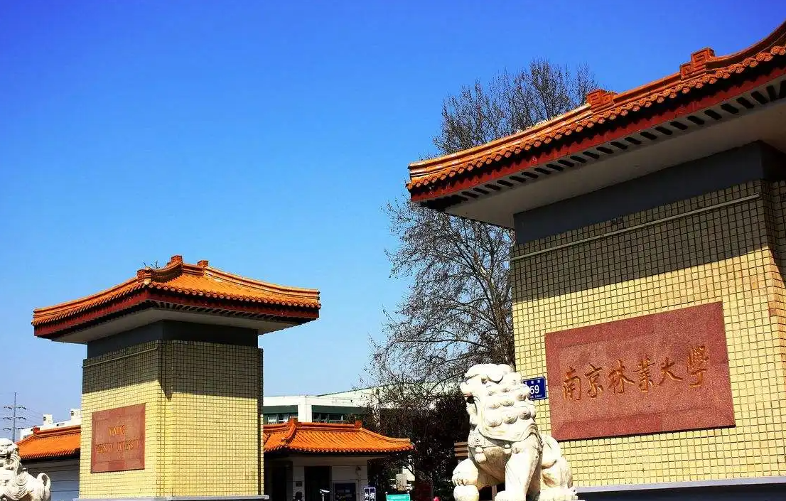 南京林業(yè)大學(xué).png