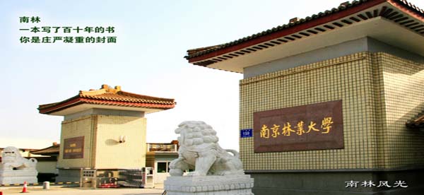 南京林業(yè)大學(xué)222.jpg