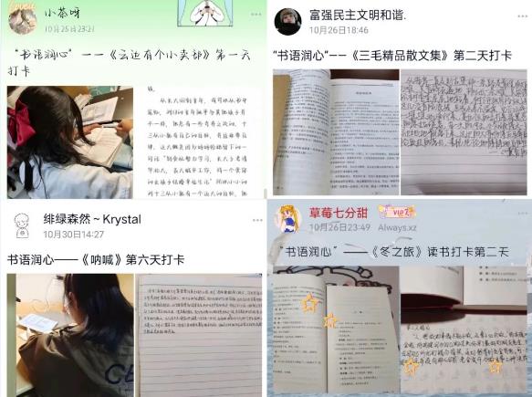 1687245639605299.jpg 30.jpg