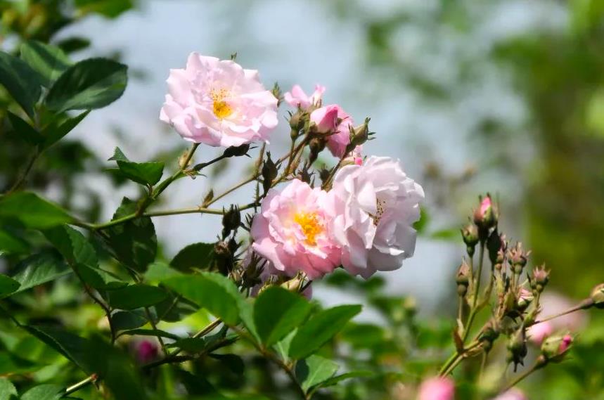 1688285573524437.jpg 360截圖20230702161237915.jpg