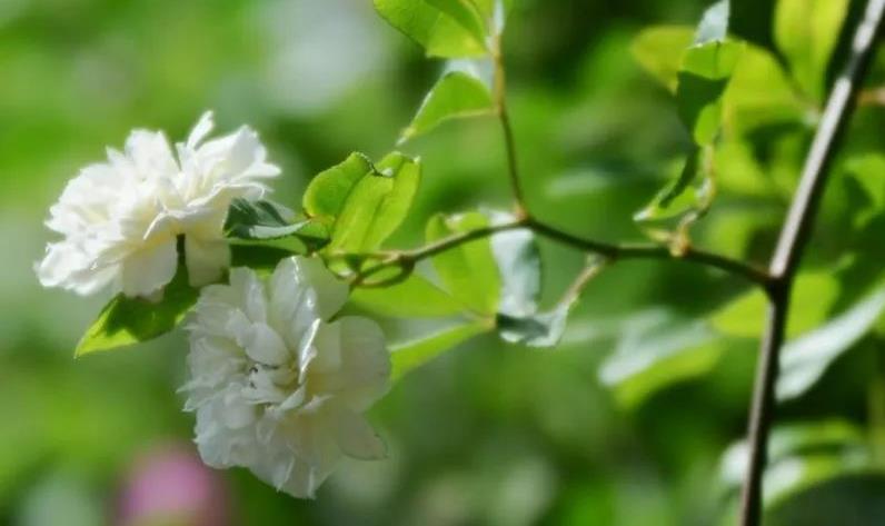 1688285604672294.jpg 360截圖20230702161310836.jpg