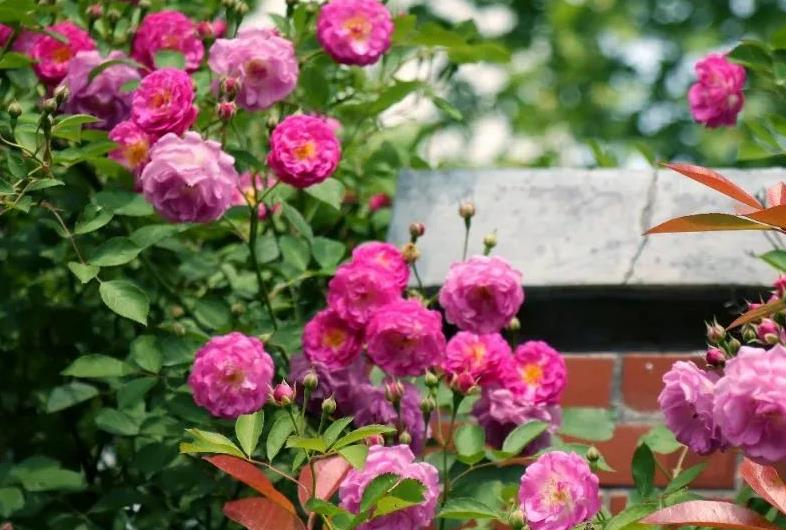 1688285635406074.jpg 360截圖20230702161337759.jpg