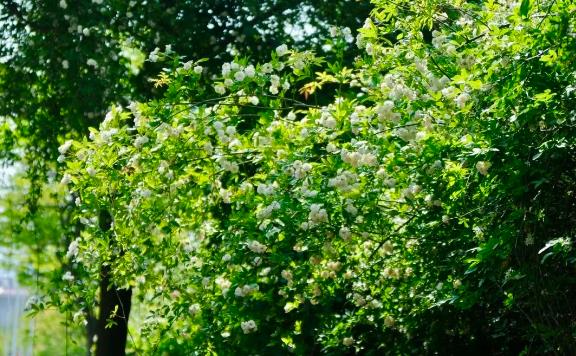 1688285691749382.jpg 360截圖20230702161438817.jpg