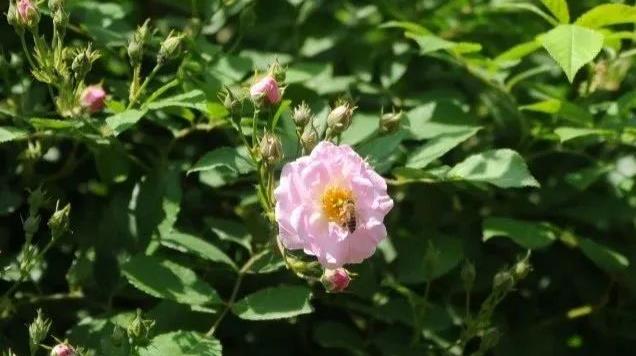 1688285740216318.jpg 360截圖20230702161528431.jpg