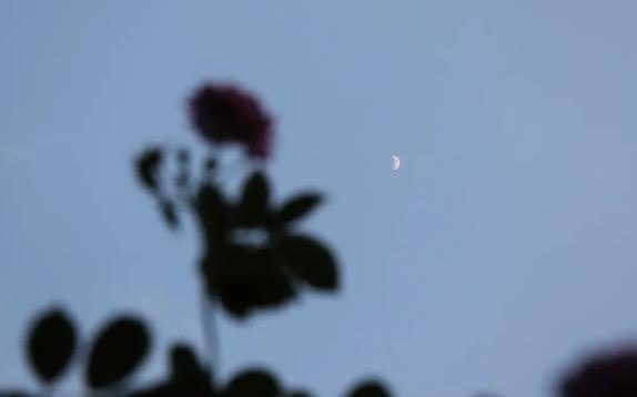 1688285802903714.jpg 360截圖20230702161602360.jpg