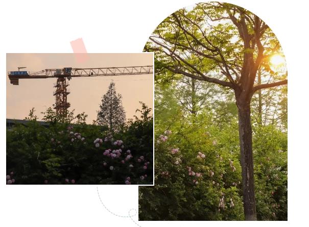 1688285817528101.jpg 360截圖20230702161553056.jpg