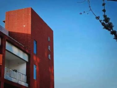 1706167780964092.jpg 【定格瞬間】愛上南京交院冬日“暖”.jpg