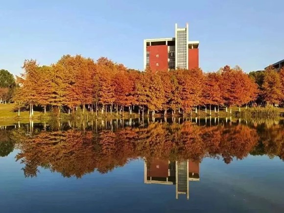 1706168049227631.jpg 【定格瞬間】愛上南京交院冬日“暖”12.jpg