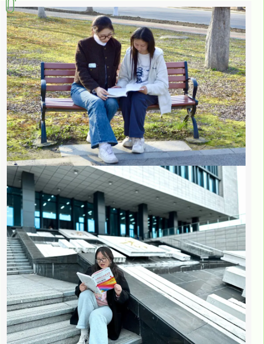 1717491192242213.jpg 泰5.jpg