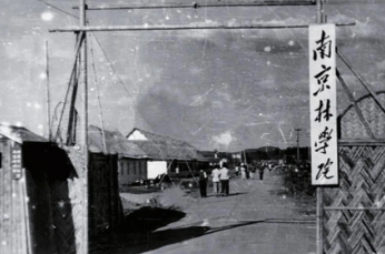 1719215419908192.png 1719215397271.png