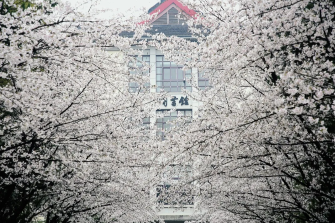 1719215959345288.png 1719215918835.png