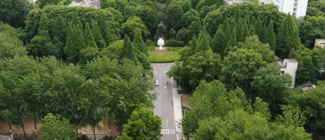 1719216066625633.png 1719216035683.png