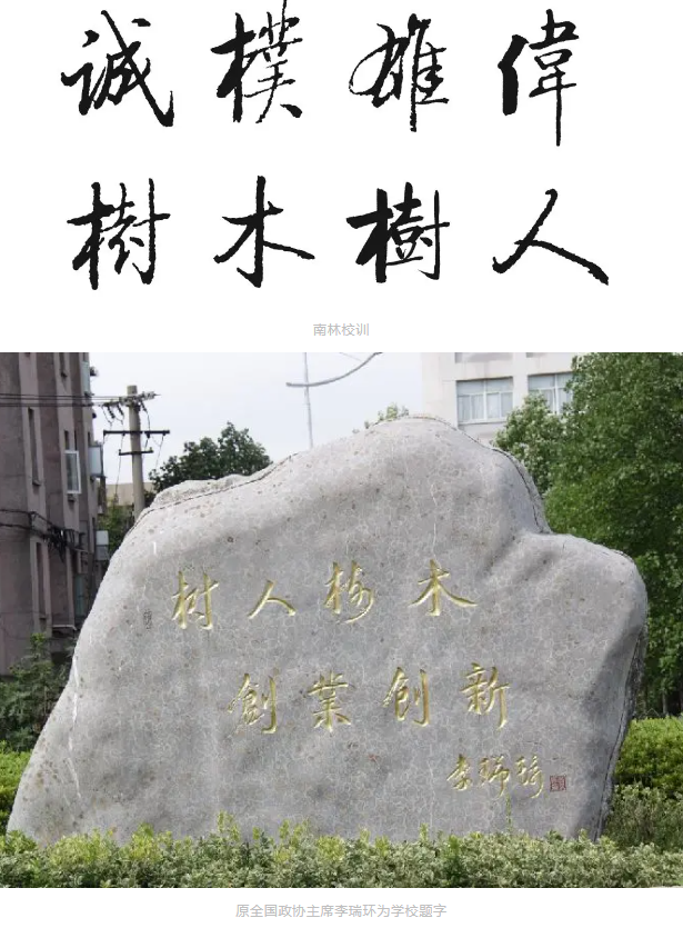 1719216112781296.png 1719216087414.png