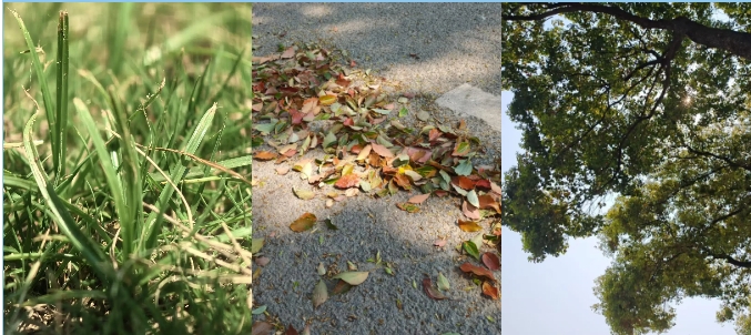 1747796556951666.png 蘇衛(wèi)版夏日限定元素周期表get.png