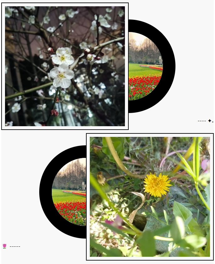 1747796701390776.png 蘇衛(wèi)版夏日限定元素周期表get4.png