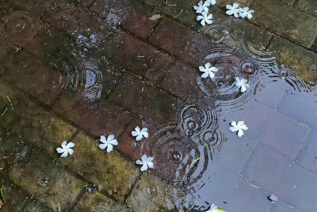 1747796791335148.png 蘇衛(wèi)版夏日限定元素周期表get7.png