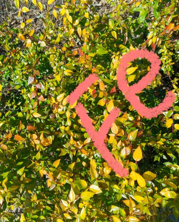 1747796841660282.png 蘇衛(wèi)版夏日限定元素周期表get8.png