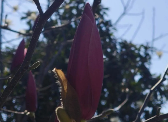 1747796893994682.png 蘇衛(wèi)版夏日限定元素周期表get12.png