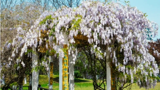 Go Go Go!各位JVICer準備出發(fā)嘍！.png