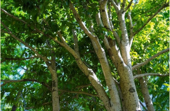 無(wú)錫學(xué)院 “光”是遇見(jiàn)，就很美好3.png