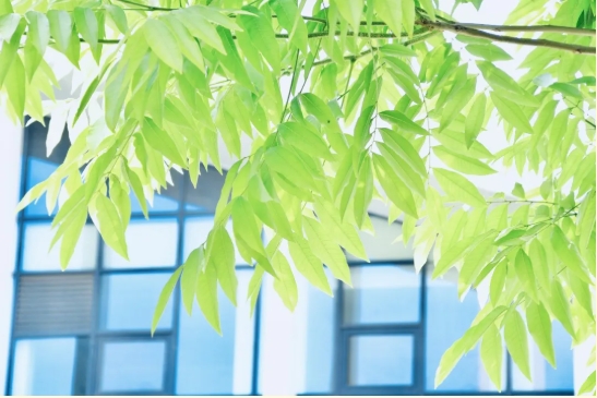 無(wú)錫學(xué)院 “光”是遇見(jiàn)，就很美好8.png